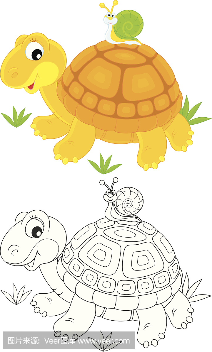 绘画,自然海龟,插图,野生动物基里安墨菲蝙蝠侠图片