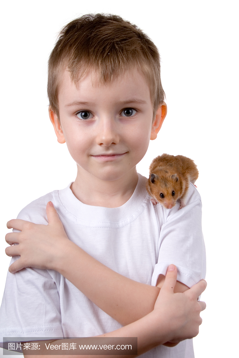 仓鼠,大老鼠,大田鼠,硕鼠