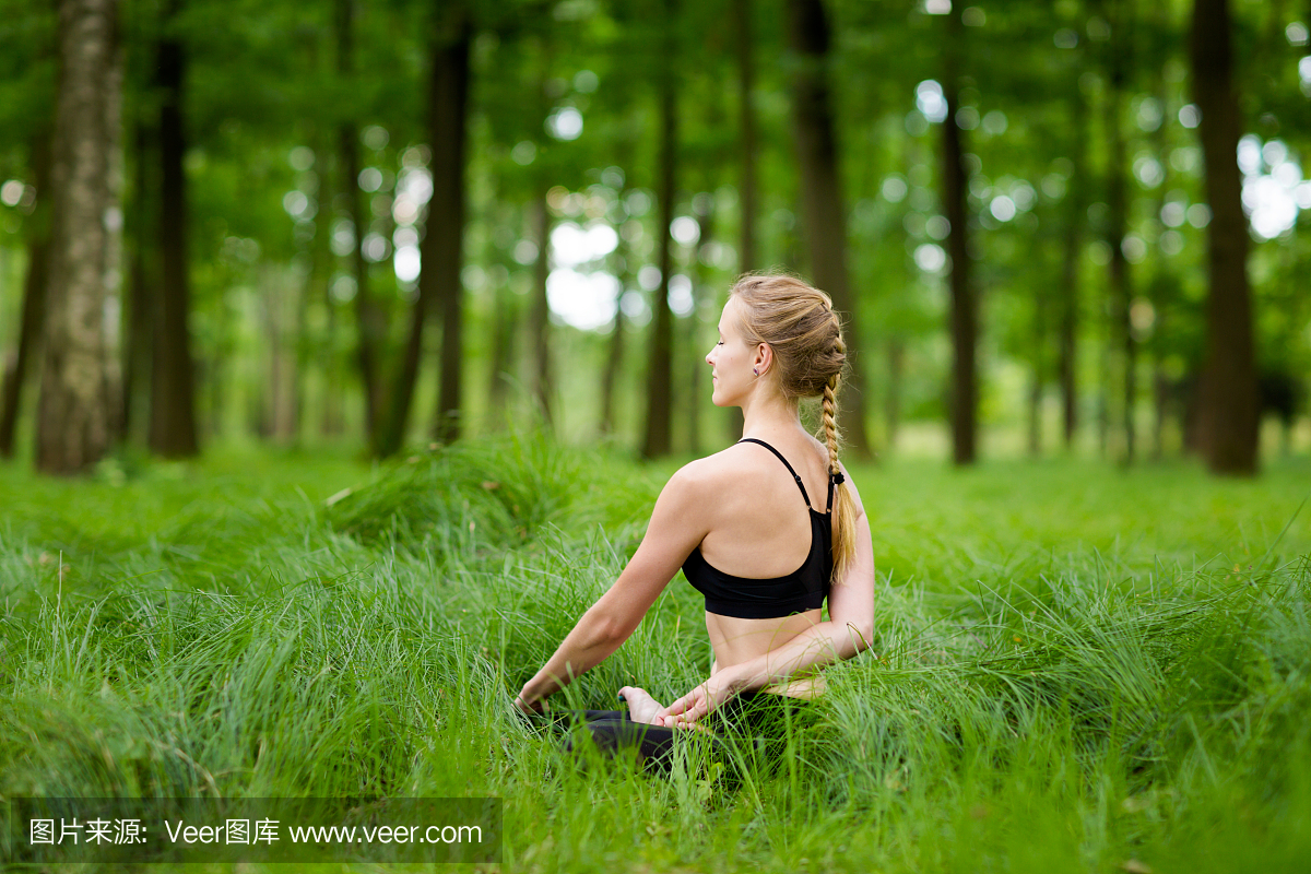 冥想瑜伽课程在树林