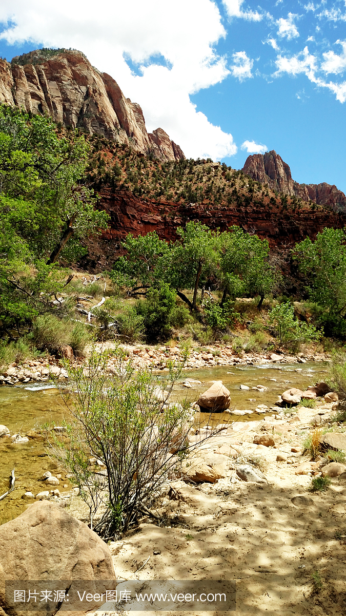 沿着维尔京河夏令时和锡安国家公园犹他州的视