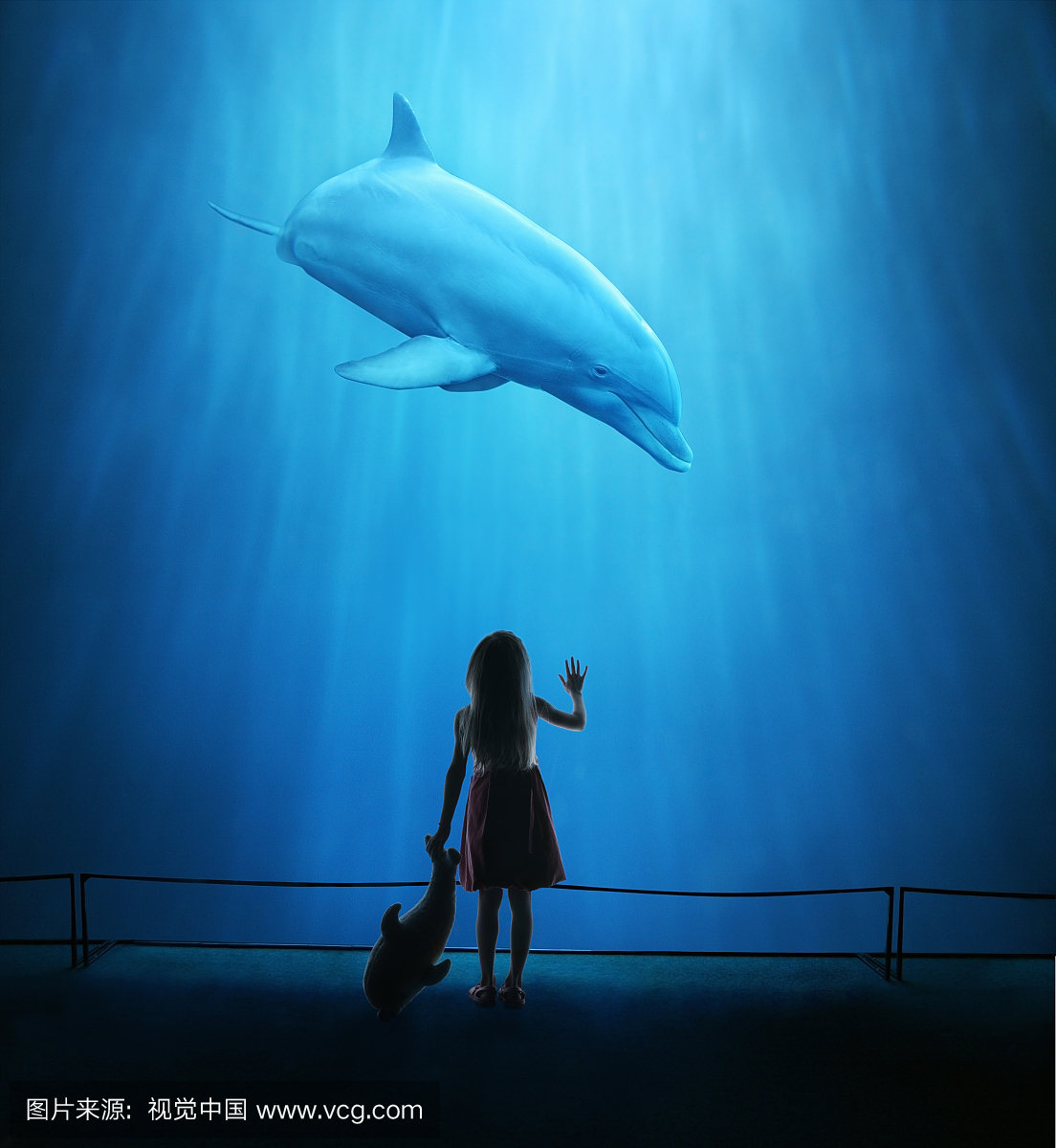 水族馆的女孩看着海豚炮女生挨图片