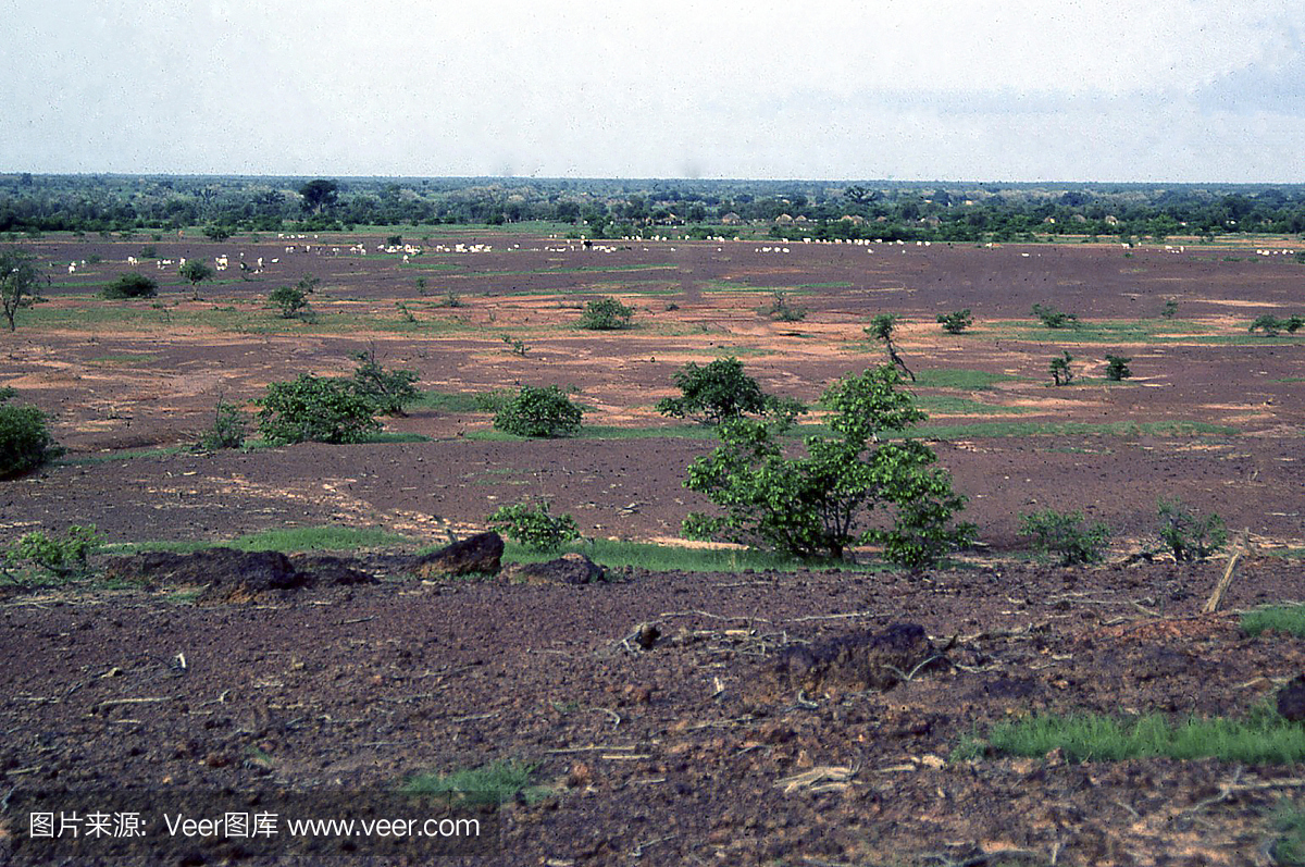 侵蚀和荒漠化的山坡景观北布基纳法索西非