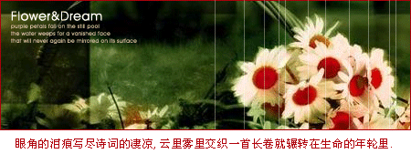 唯美伤感的句子-路过阴雨天的博客-强国博客-人-57kb 伤感文字类动态