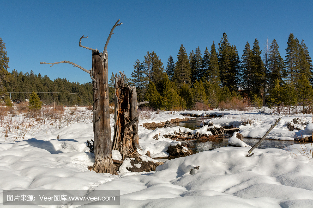 寒冷,唐纳山口,环境,霜