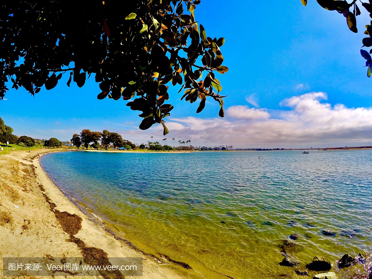 热带气候,加利福尼亚,圣地亚哥,自然美