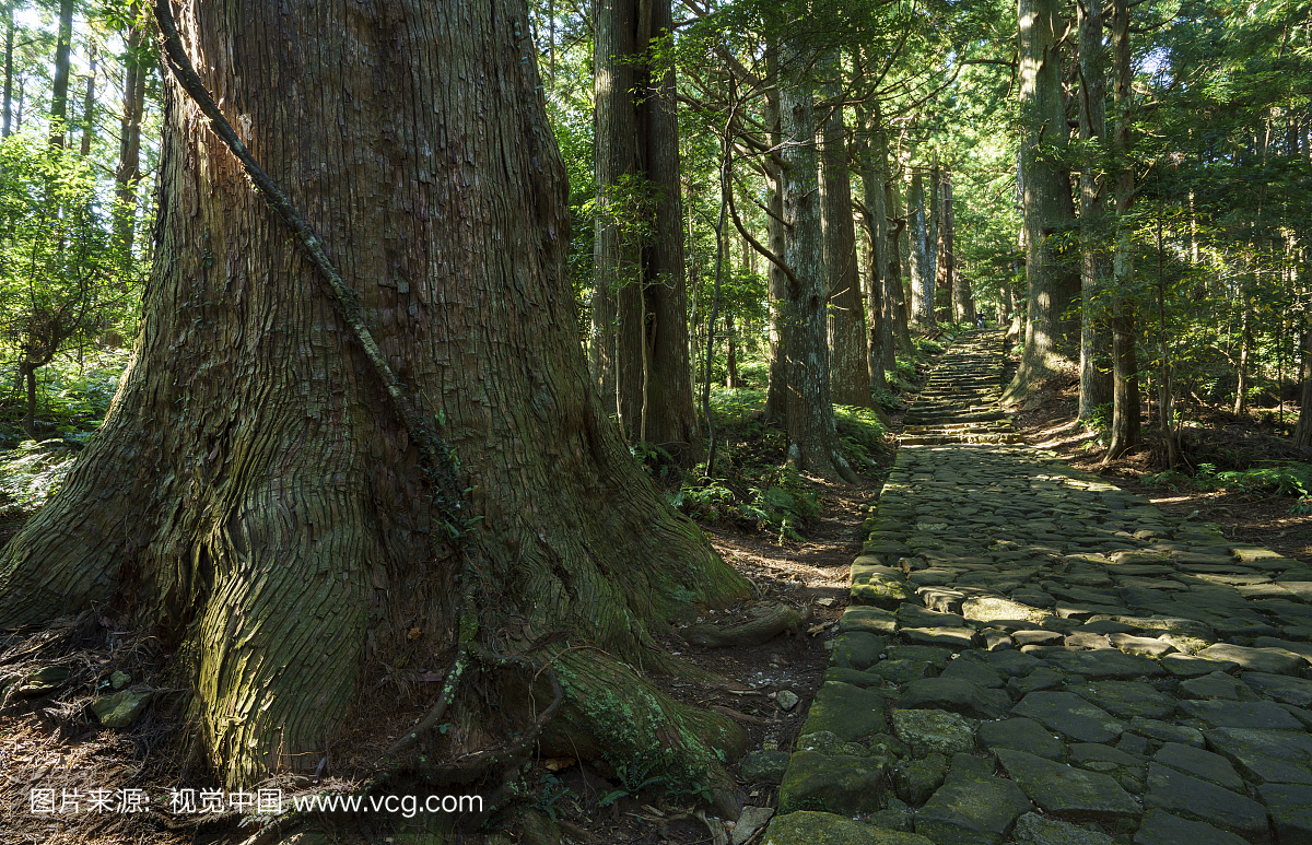 戴蒙扎卡石楼梯