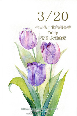 3月2日是什么生日花 家居风水植物 大家3月2日的生日花是怎样的吗 华新轩风水