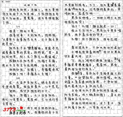 积累作文800字,题记 式