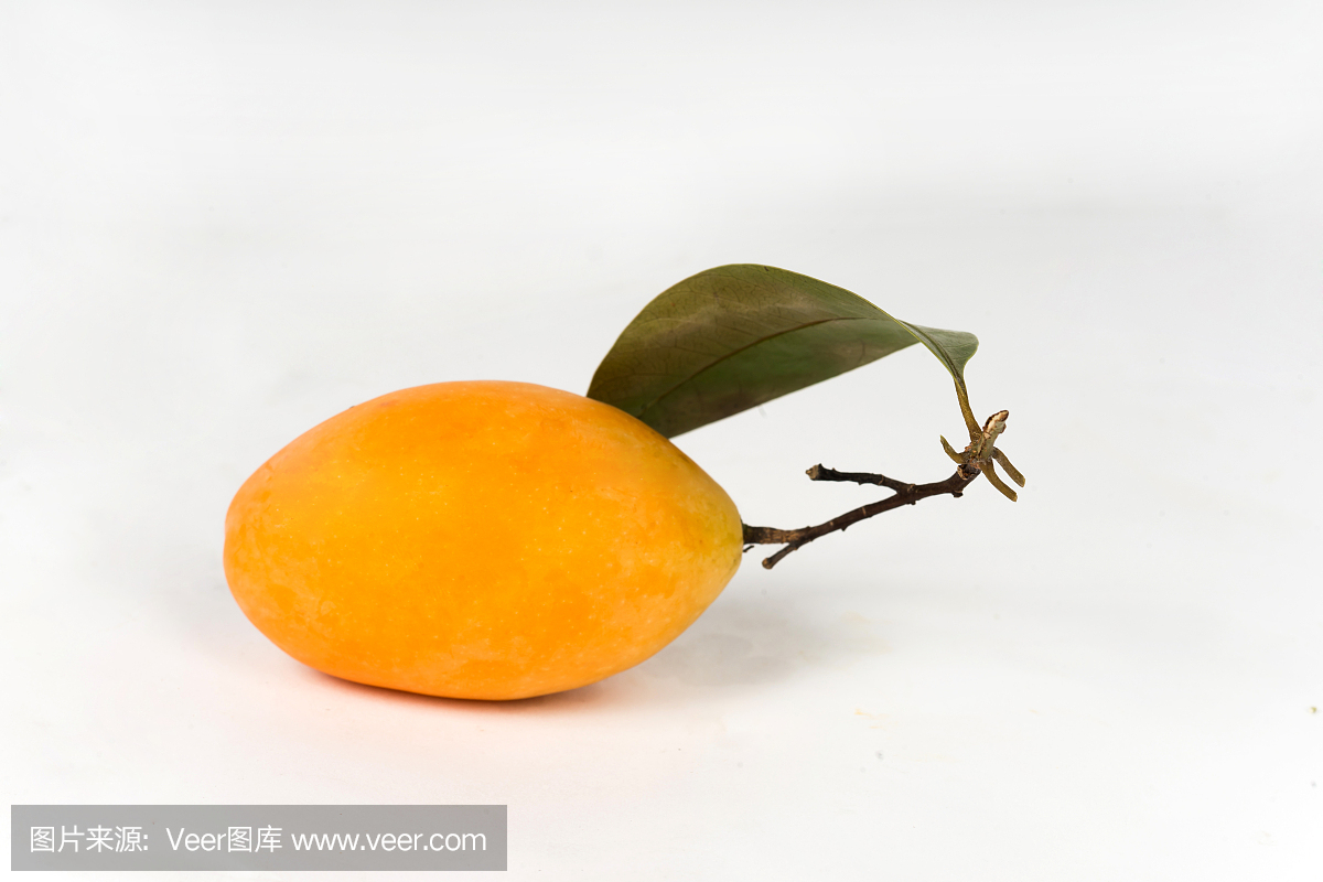 北方李子热带水果成熟黄色