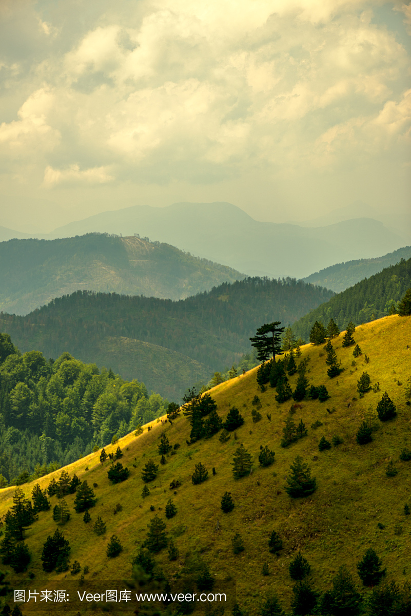 塔拉山,塞尔维亚的滚动景观
