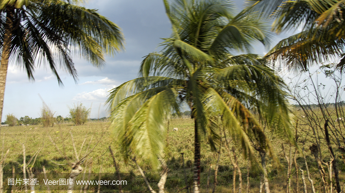 多米尼克山风景