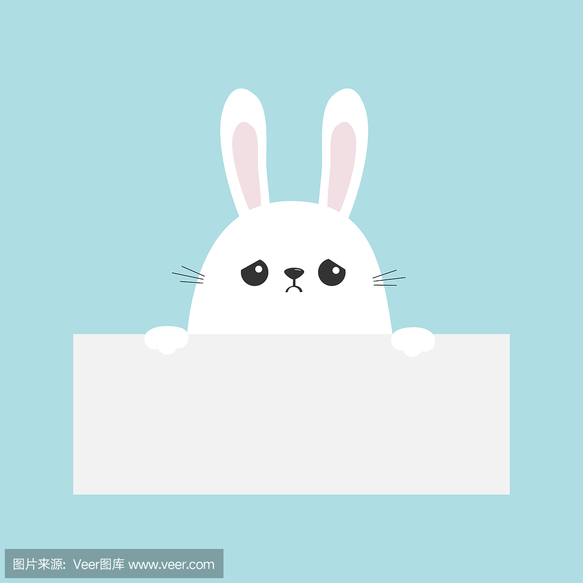 空的纸板模板上挂着的白色悲伤兔子兔子。有趣