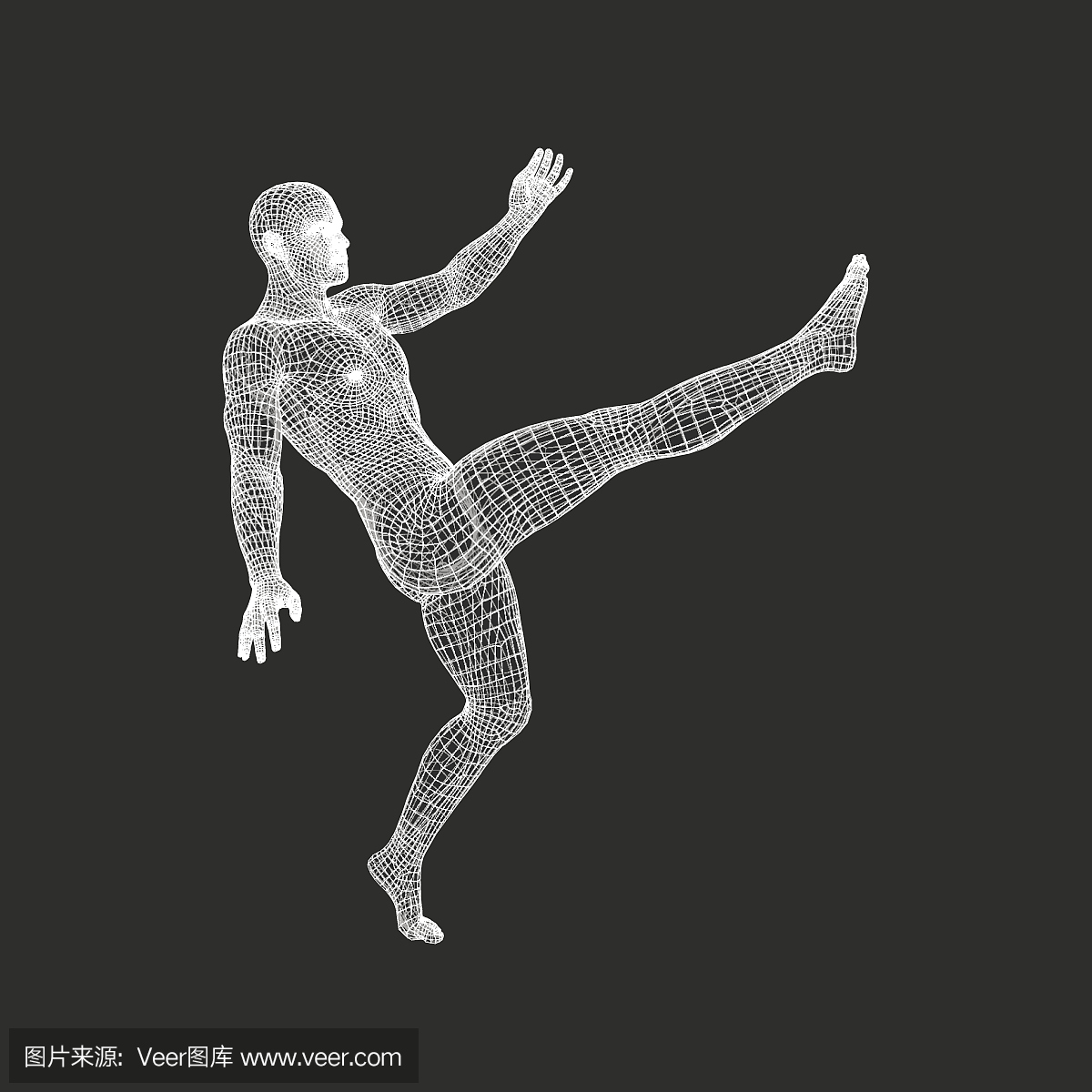足球运动员。体育概念。人的3D模型。人体。