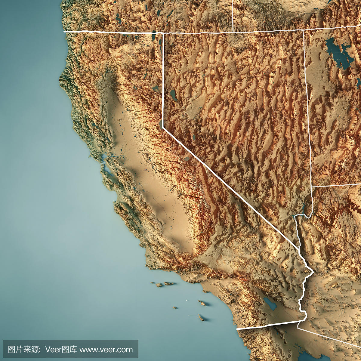 加州状态美国3D回报地形图边界
