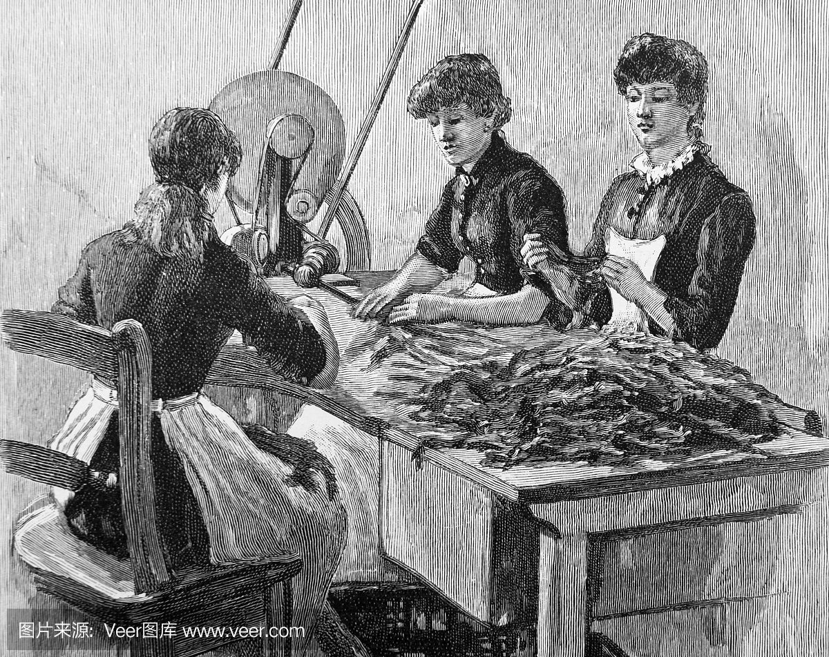 19世纪在一家烟草工厂内分拣叶子的妇女