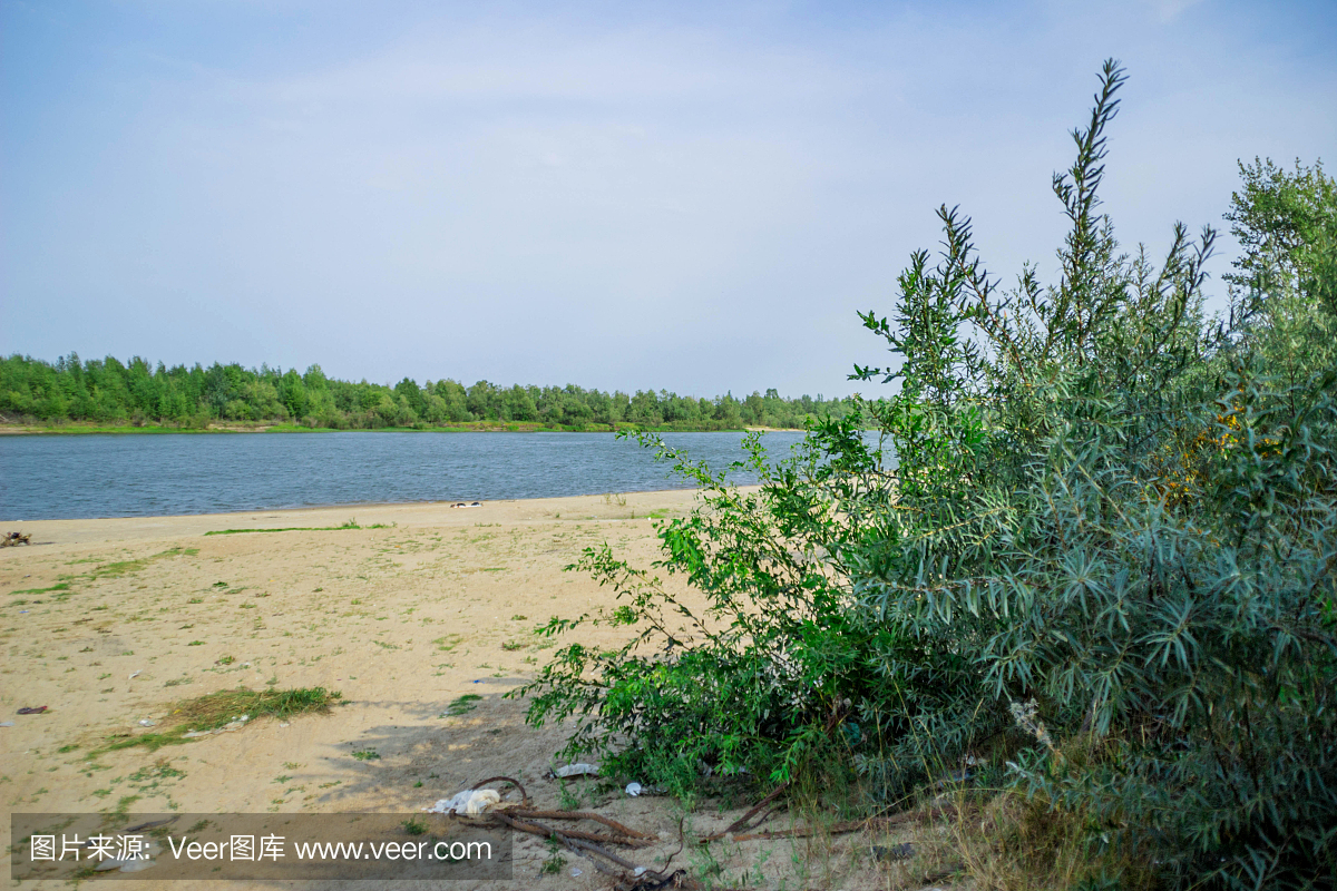 被抛弃的,英文字母B,毁灭,塑胶