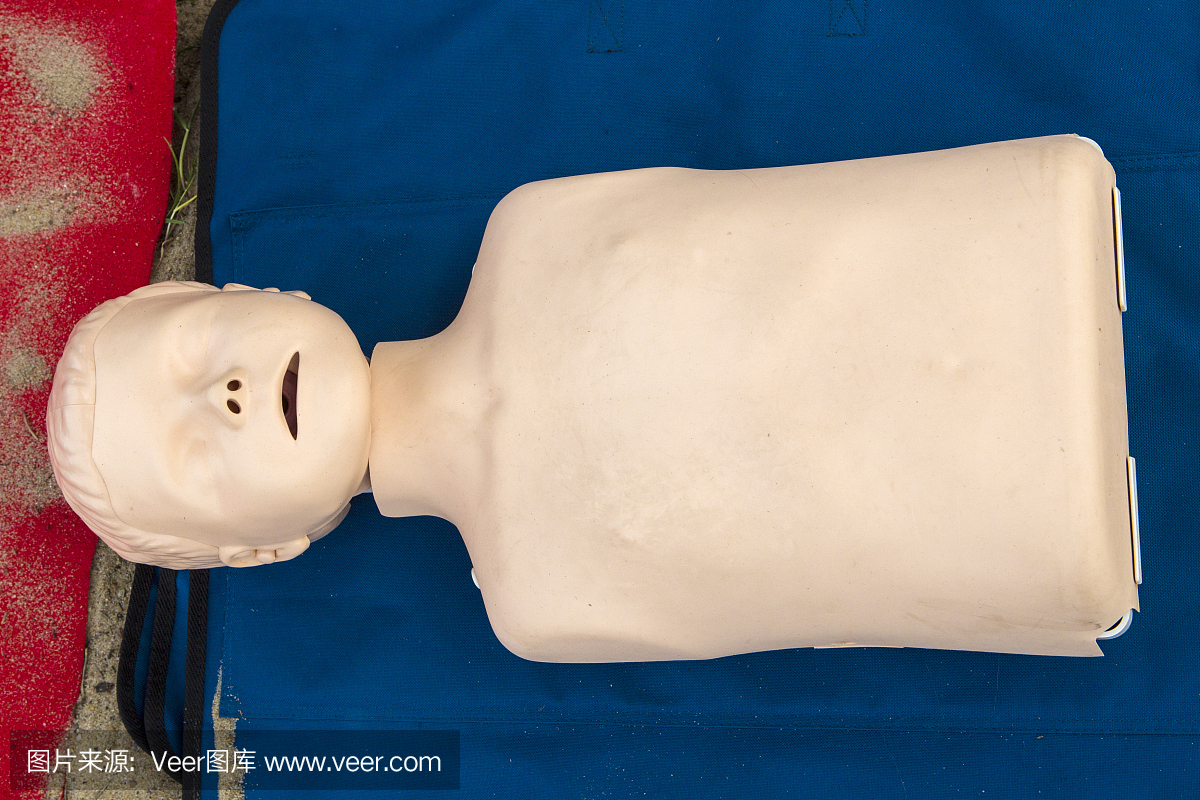 心肺复苏模型人,心肺复苏模拟人,心肺复苏人体