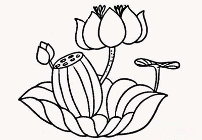 儿童画夏天的荷花简笔画-39kb