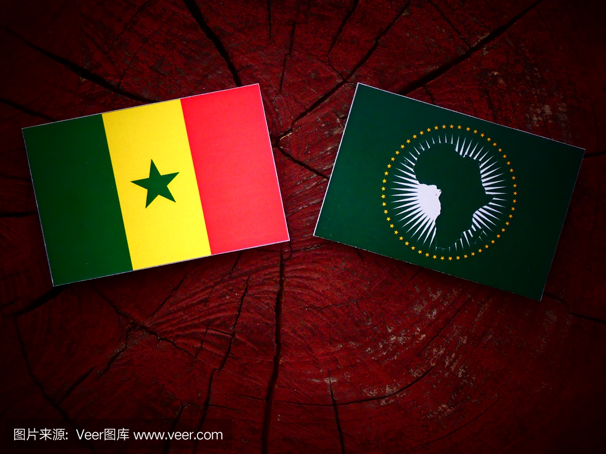 塞内加尔国旗与非洲联盟国旗在孤立的树桩上