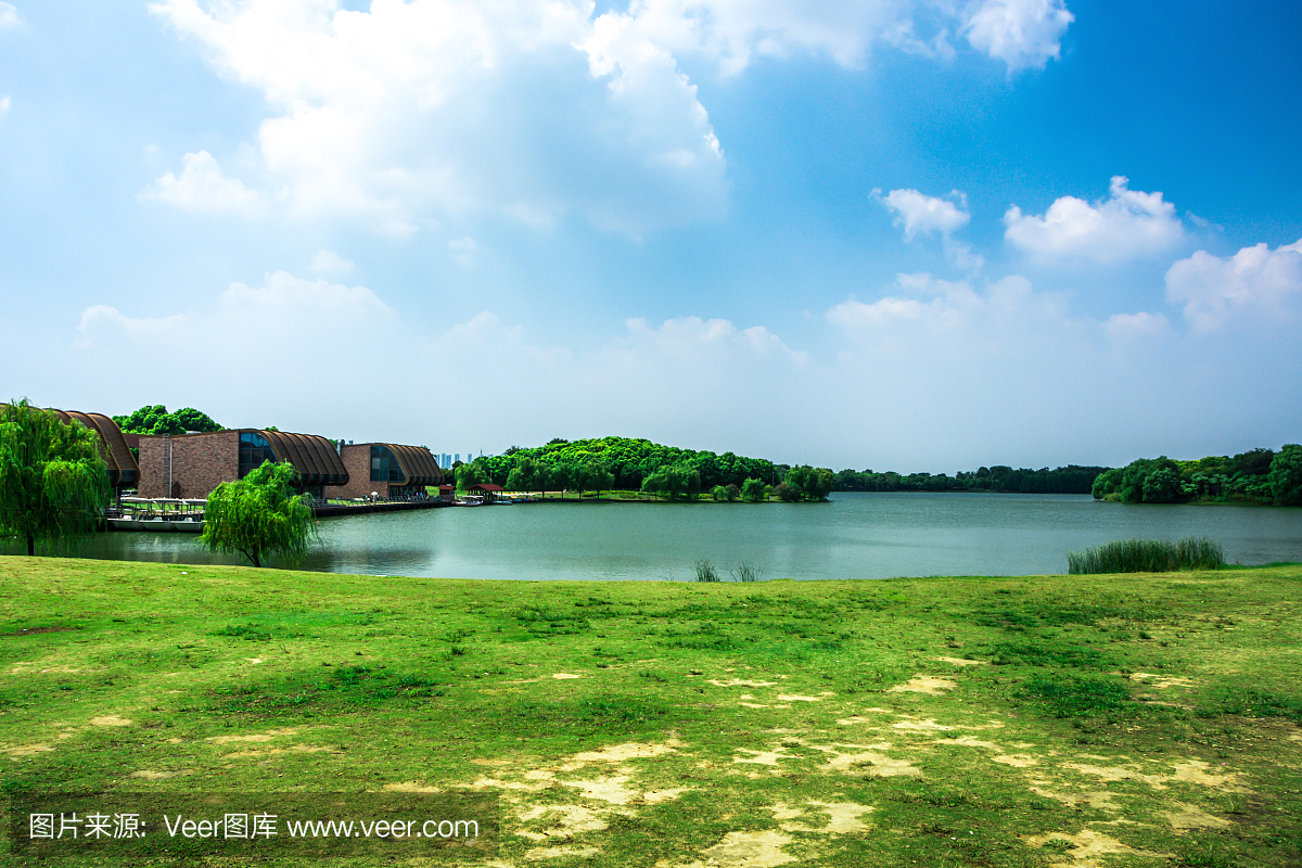 美丽的湖花园与反思