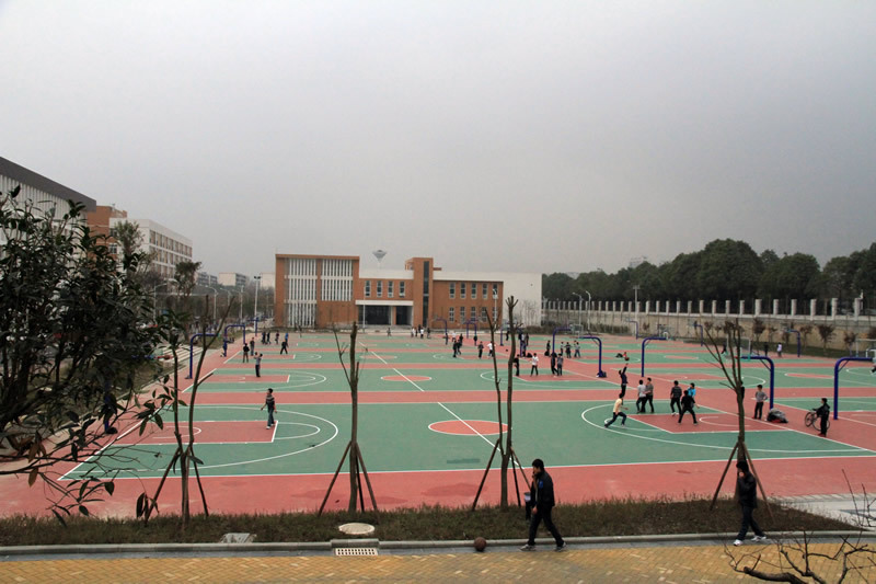 成都体育学院中医学好就业吗