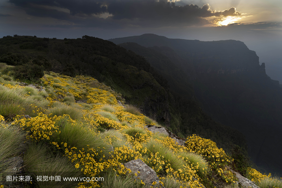 景观,Semien Mountains国家公园,阿姆哈拉,埃塞俄比亚