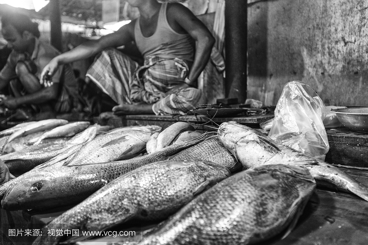 在吉大港Asadganj鱼市场的销售员,吉大港,孟加