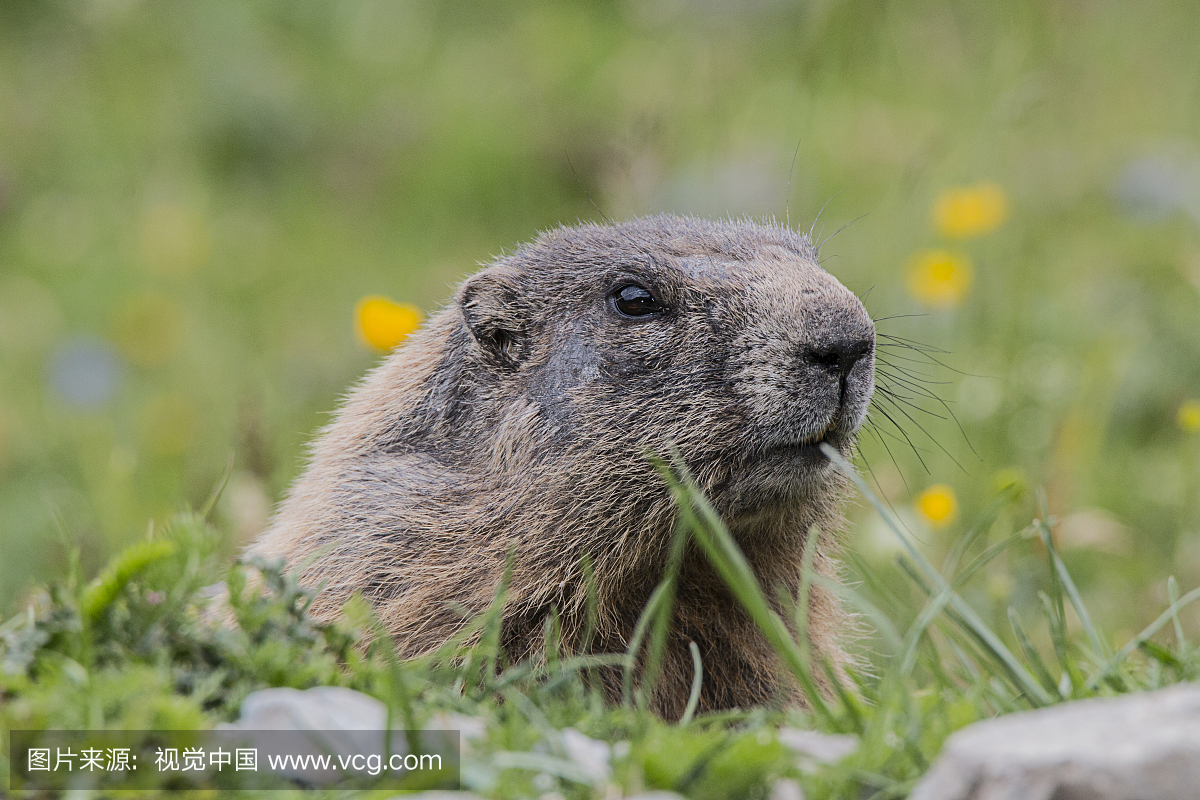 Where are you looking at