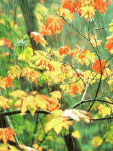 自然美 动态大图 - 摩卡1采集到风景-45kb