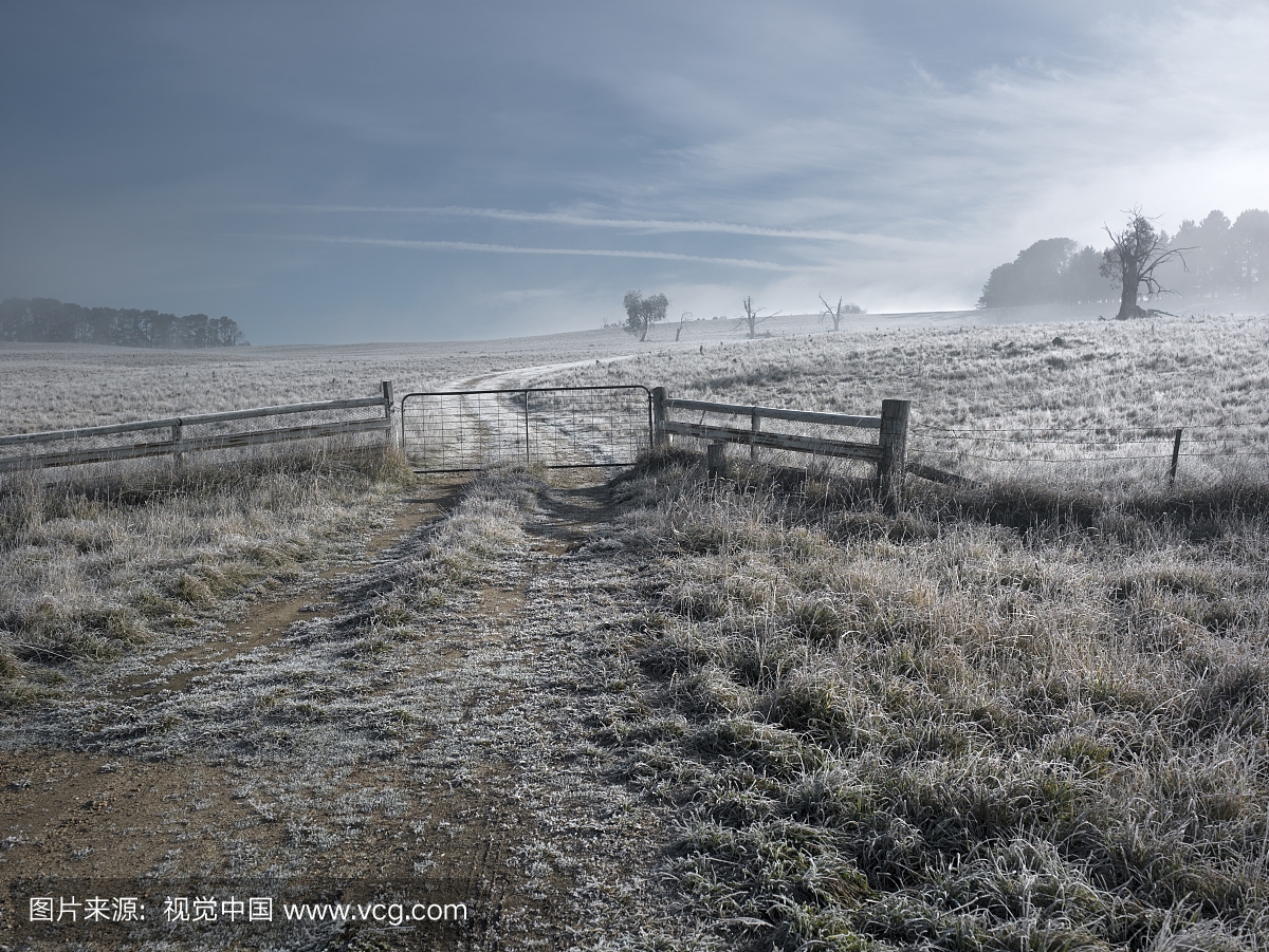 Country field with frost