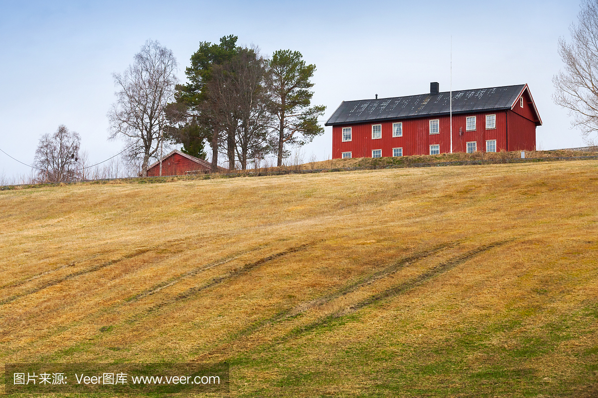 春天农村挪威风景与红色的房子和领域