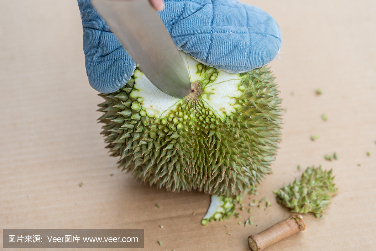 手用刀去皮有很多刺的榴莲壳。'热带季节性水