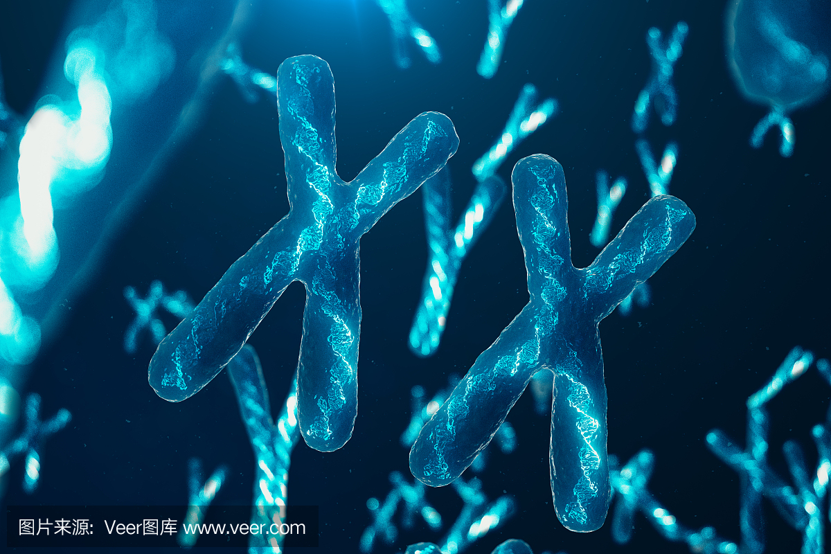 螺旋,显微镜,克隆,英文字母Y