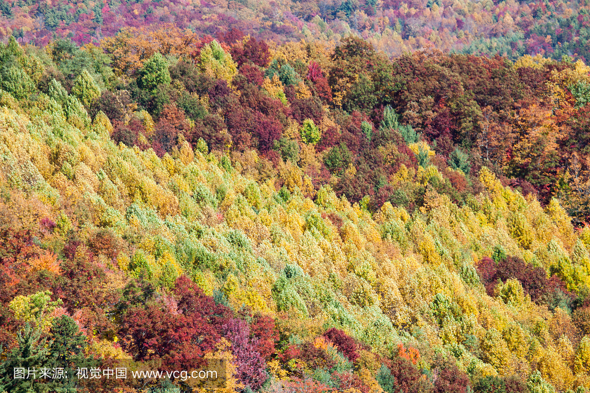 红色,深红,赤红,猩红色
