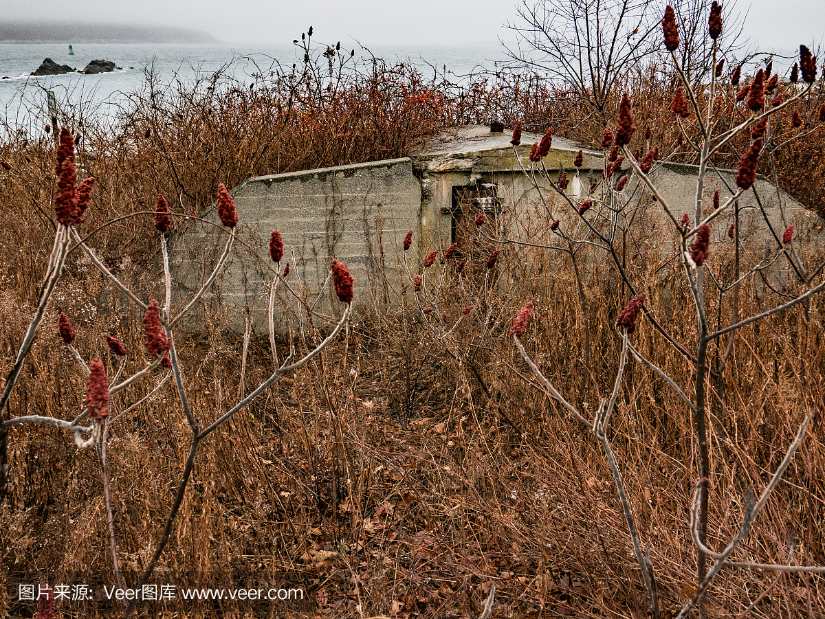 被遗弃的地堡,伊丽莎白角