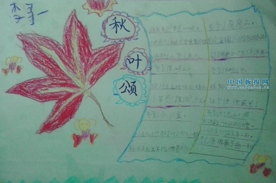 关于树叶的手抄报_关于树叶的手抄报图片大全图片