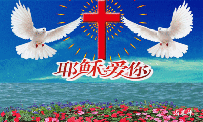 399_240 gif 动态图 动图