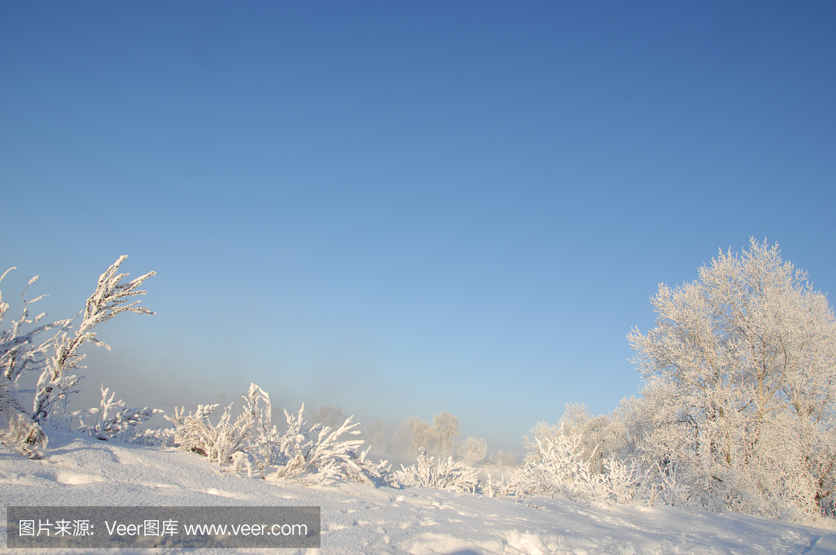 冬季,冬季,冬季,冬眠,一年中最冷的季节,12月至