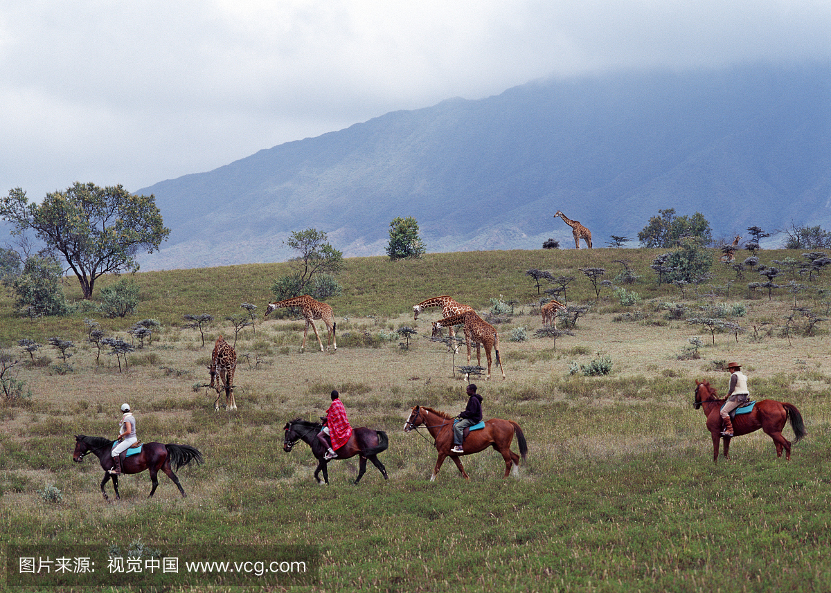 肯尼亚,奈瓦沙区,龙诺诺牧场。在靠近隆隆诺山