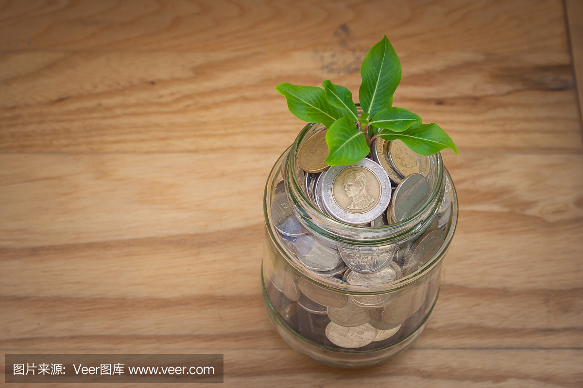 商业和金融概念:绿色sprount树生长通过钱硬币