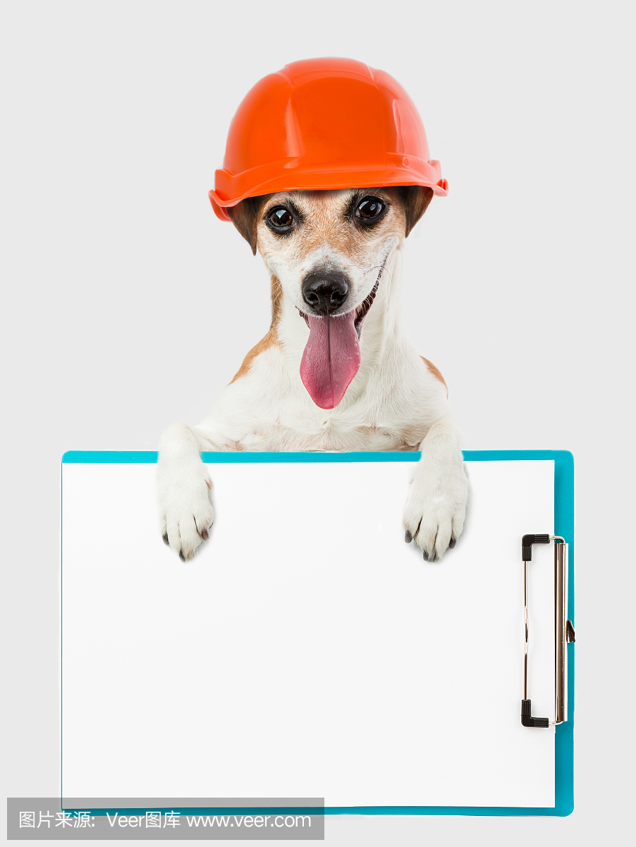 狗防护头盔橙色施工办公平板电脑