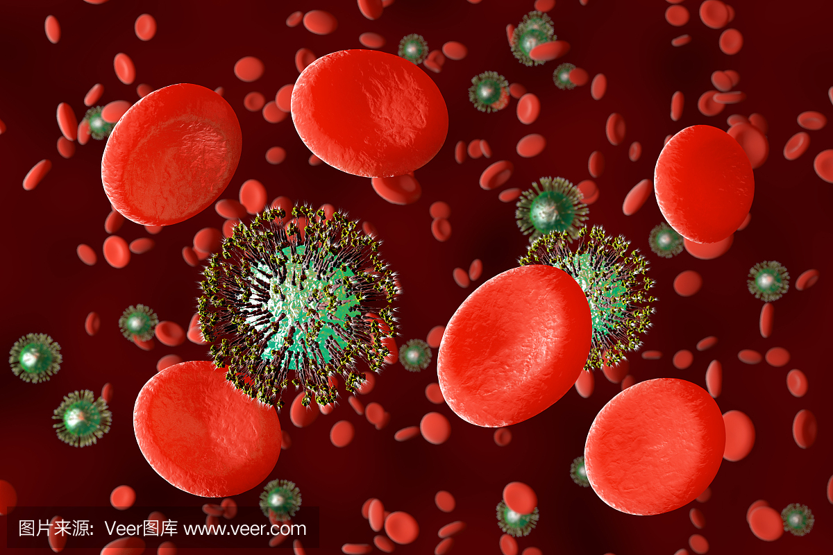 红细胞和病毒。
