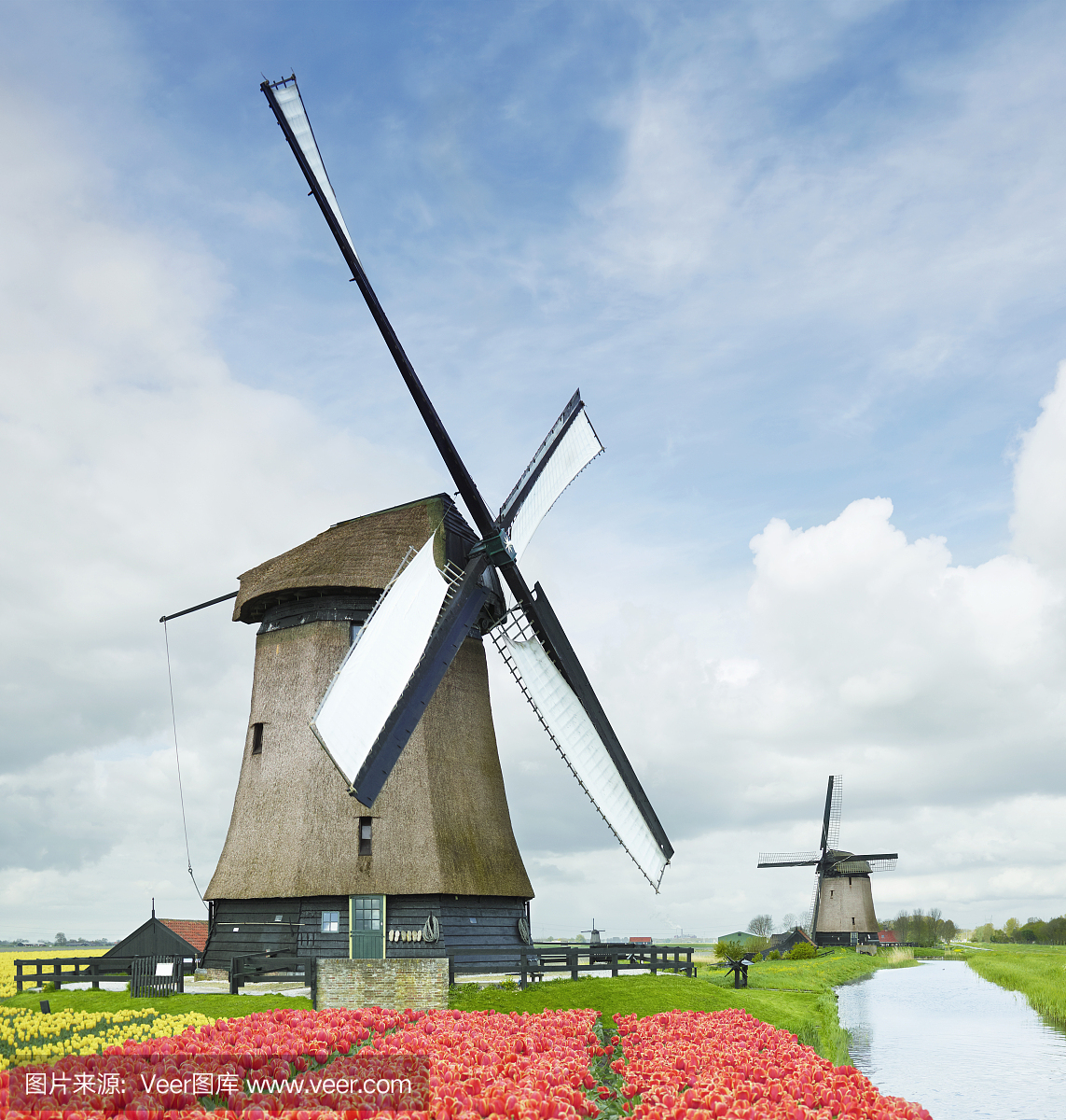 荷兰,荷兰风情,荷兰共和国,郁金香