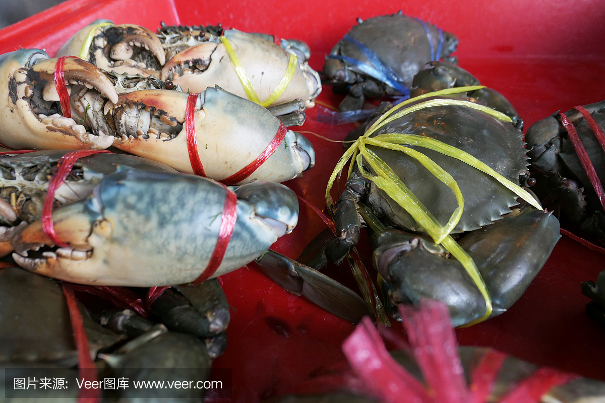 市场上的新鲜螃蟹被绑在红色皮卡上。新鲜美味