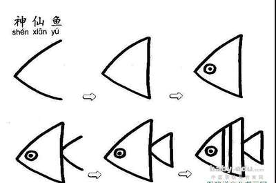 鱼简笔画图片大全-美丽的神仙鱼_动物简笔画_-31kb