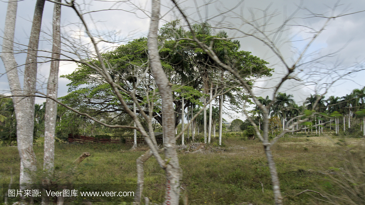 多米尼克山风景