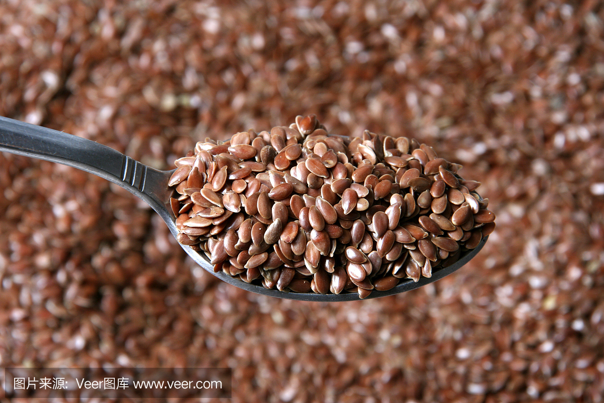 亚麻种子,可榨油种子,亚麻籽,摄影