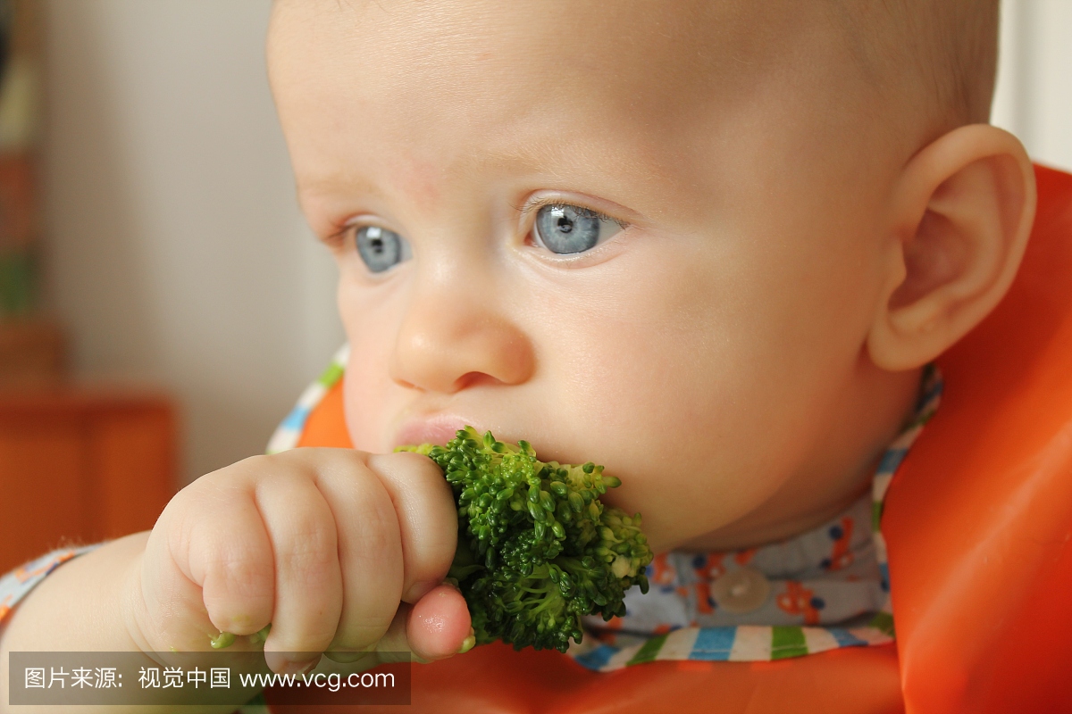 婴儿吃西兰花