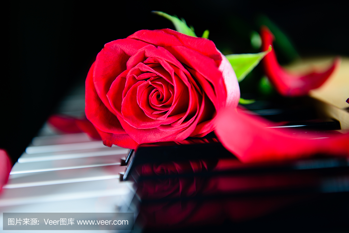 电钢琴,电子钢琴,电子琴,弹唱小乐曲