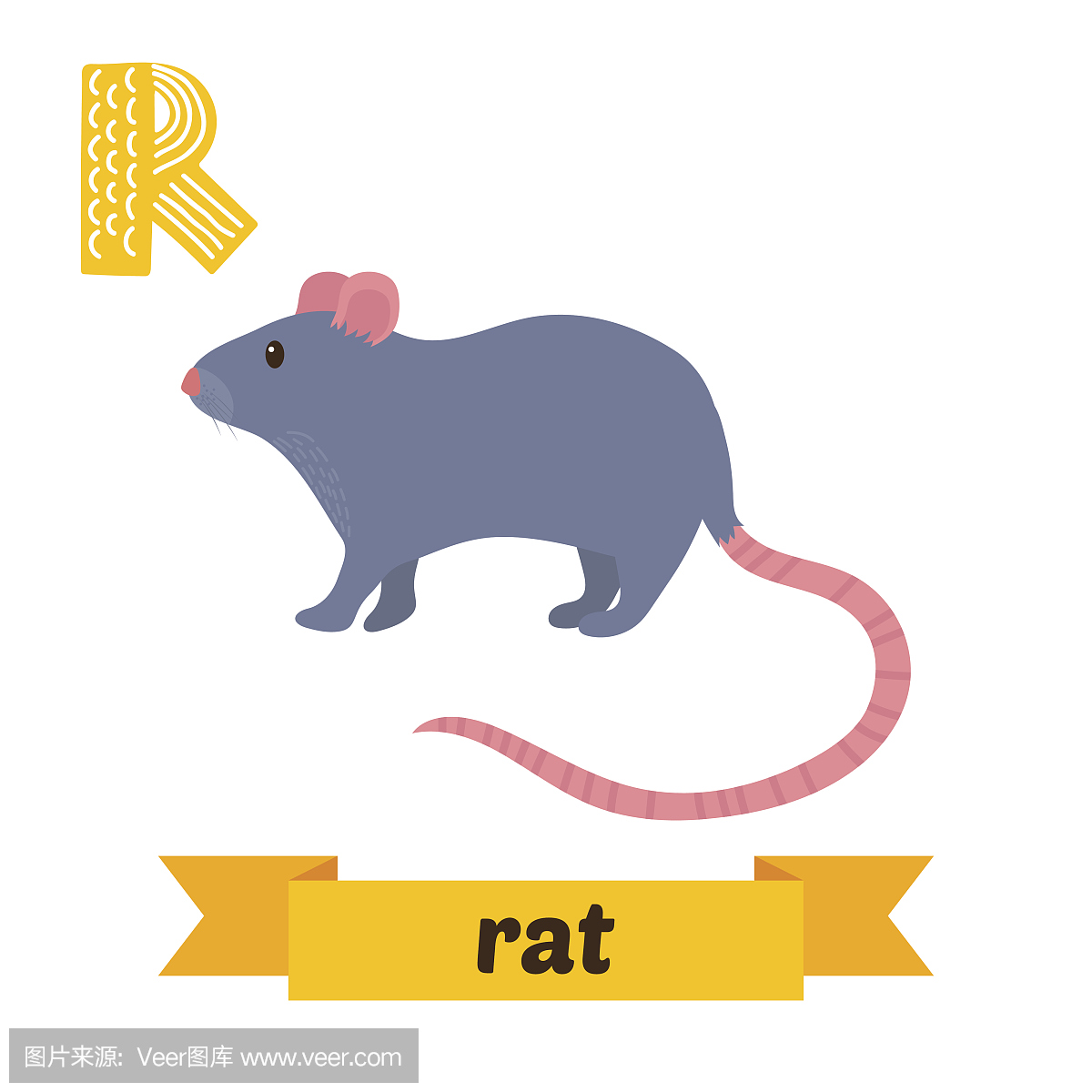 鼠。 R信。可爱的孩子动物字母表在矢量。滑稽